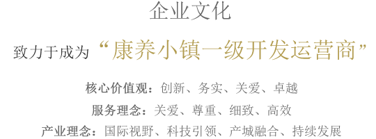 企業(yè)愿景